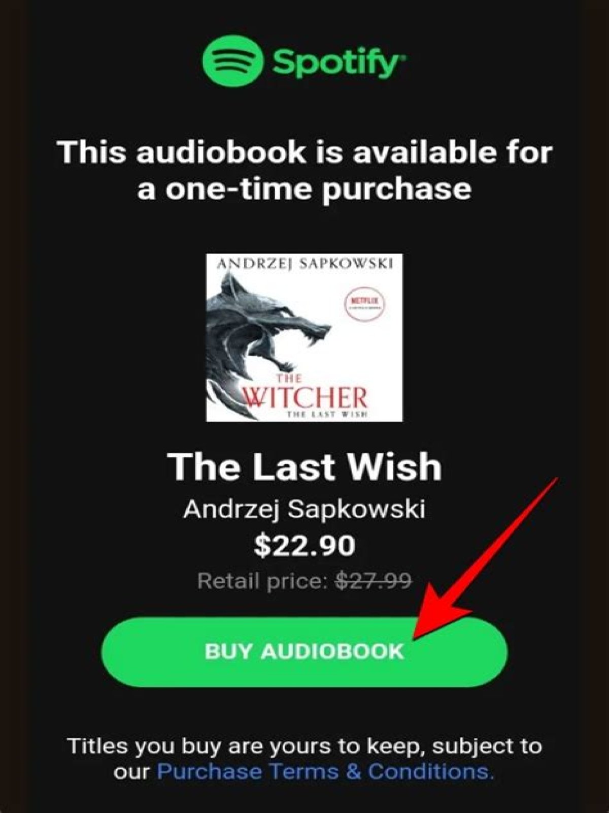 Are there ebooks on Spotify?