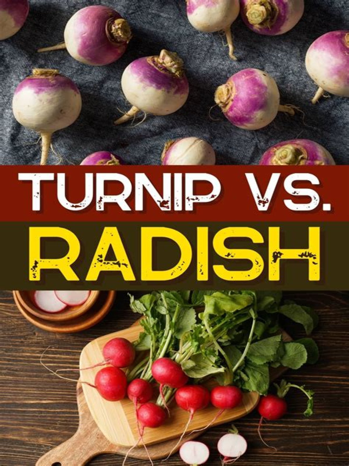 Are turnips and radishes the same thing – Google Search
