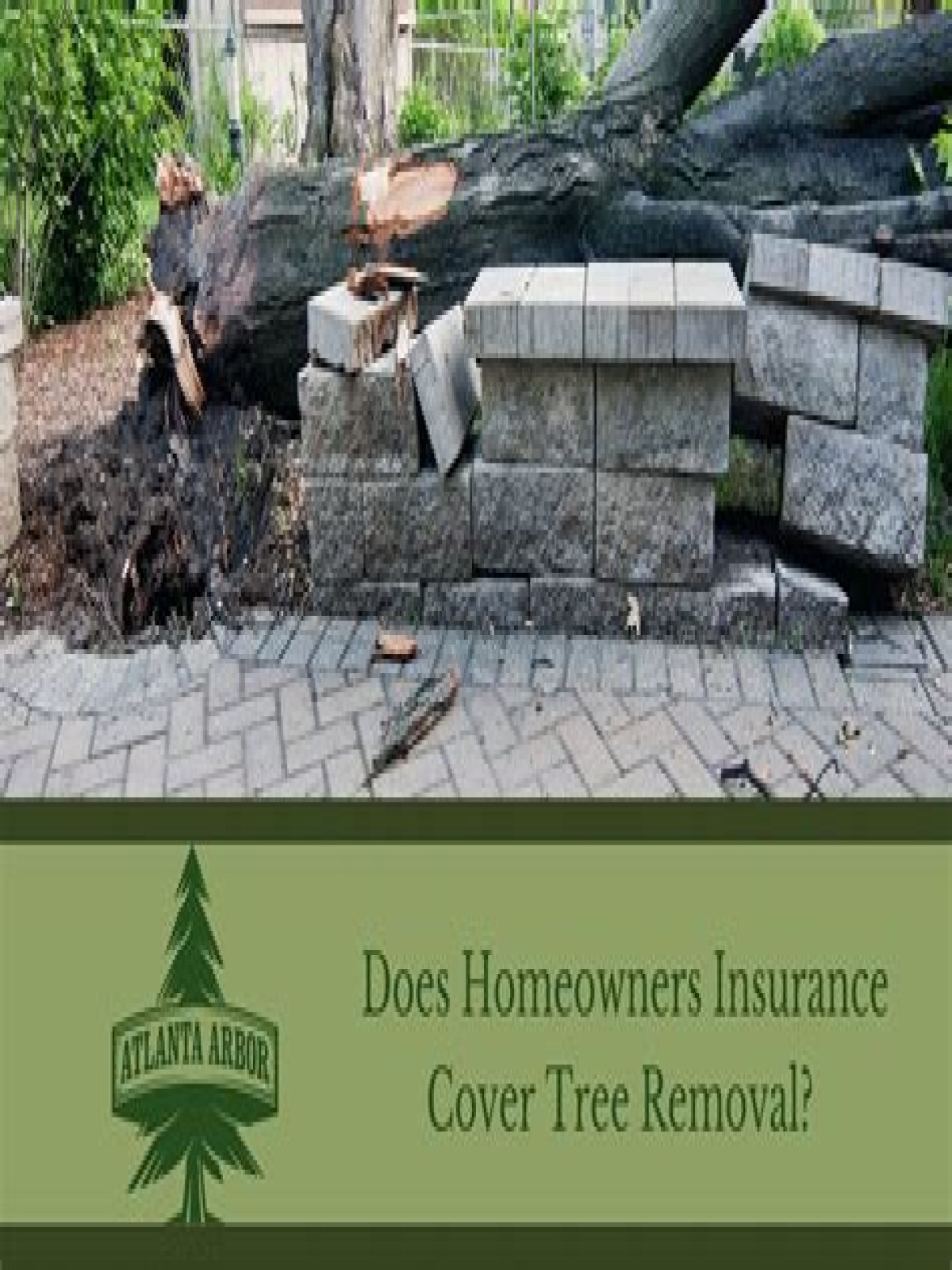 Does homeowners insurance cover downed trees from storms?