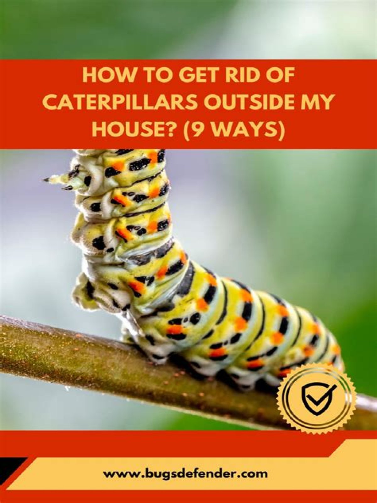 How do I get rid of hairy caterpillars in my house?