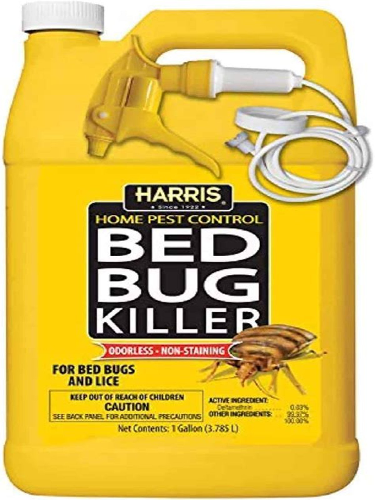 How long does bed bug spray have to sit