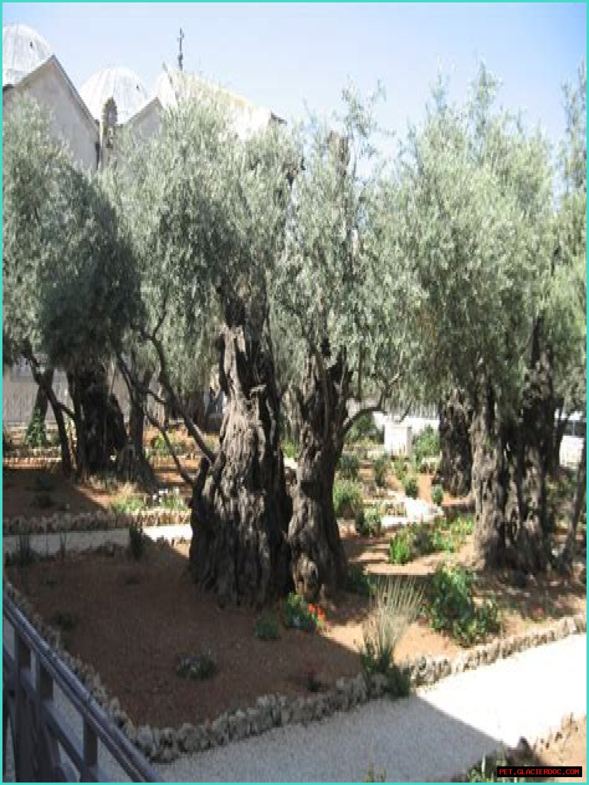 Is Gethsemane the same as Mount of Olives?
