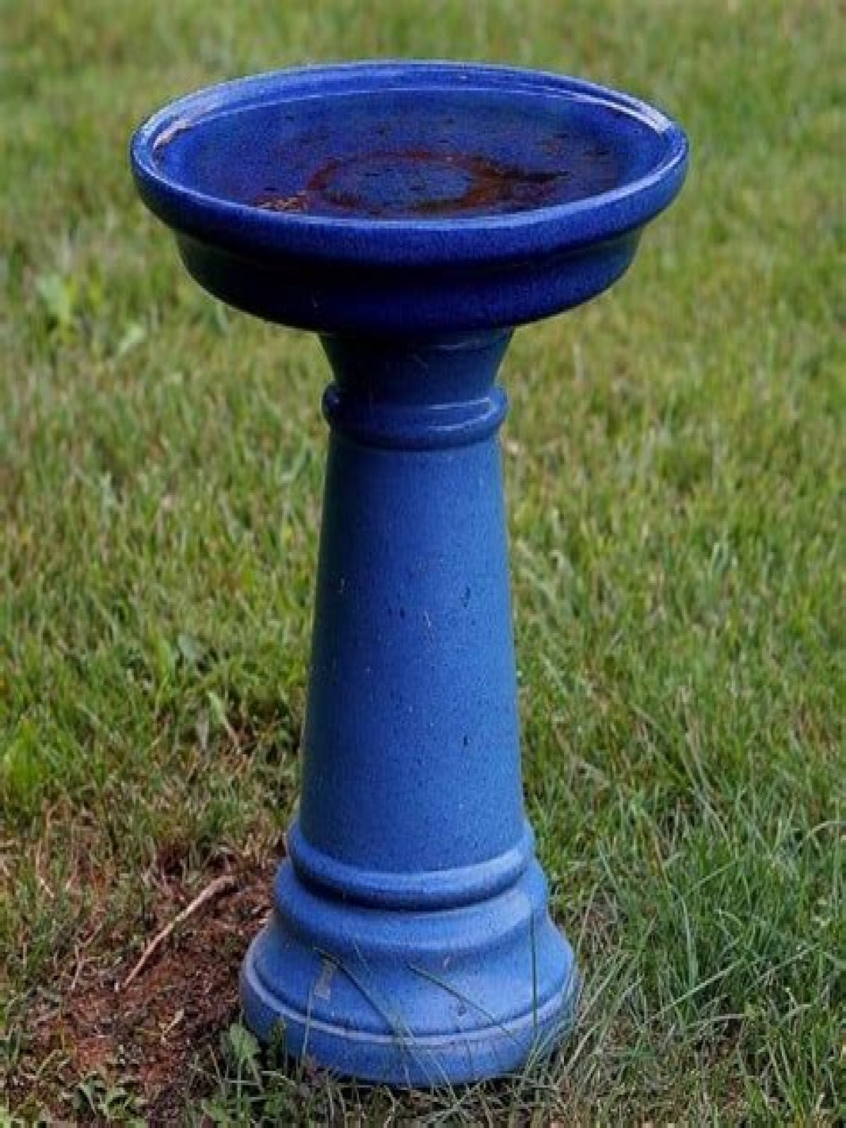 Is there a special paint for bird baths – Google Search