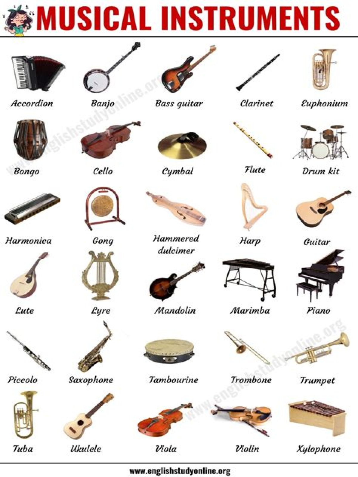 What are the five musical instrument classifications