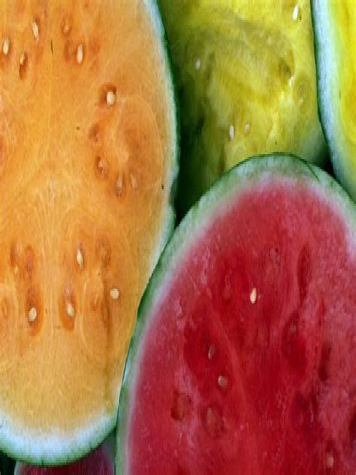 What happens when eat rotten watermelon – Google Search
