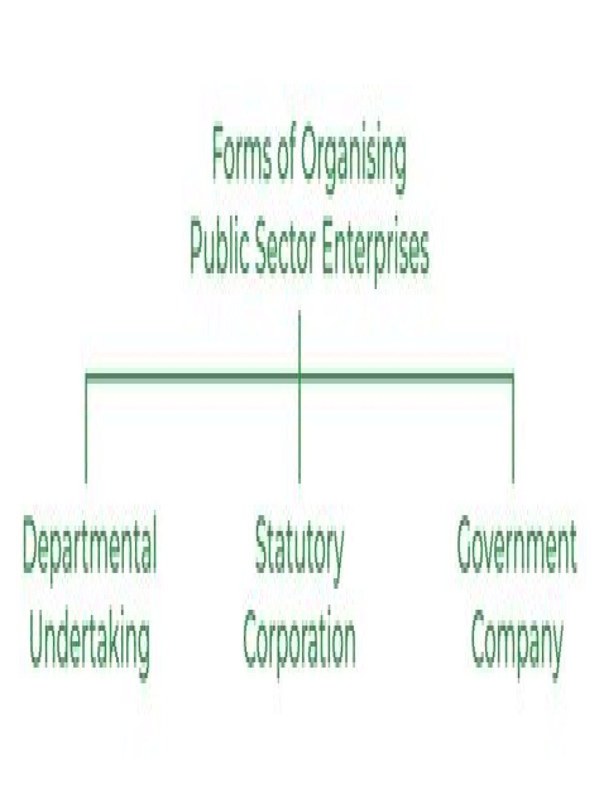 What is a public enterprise example?