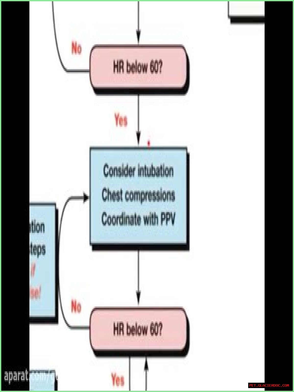 When should you check heart rate after compressions NRP