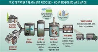 Where do biosolids come from