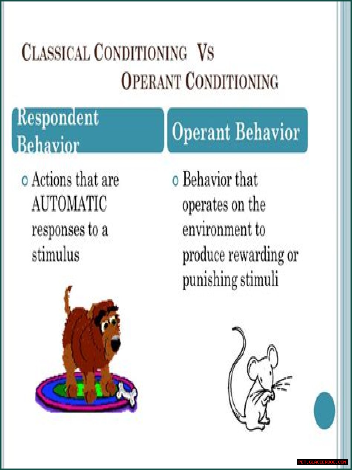 Who is associated with operant conditioning